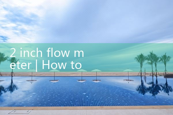 2 inch flow meter|balo meter