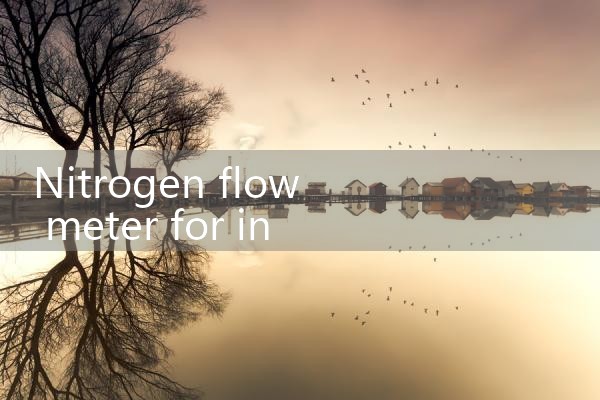 nitrogen flow meter for injection molding|flow meter distributor