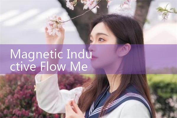 magnetic inductive flow meter|rotameter flow meter