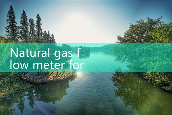 natural gas flow meter for energy monitoring|balo meter