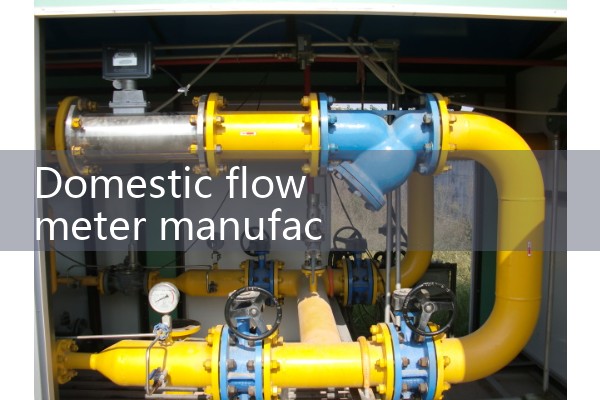 Domestic flowmeter manufacturers