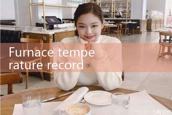 furnace temperature recorder|rotameter flow meter
