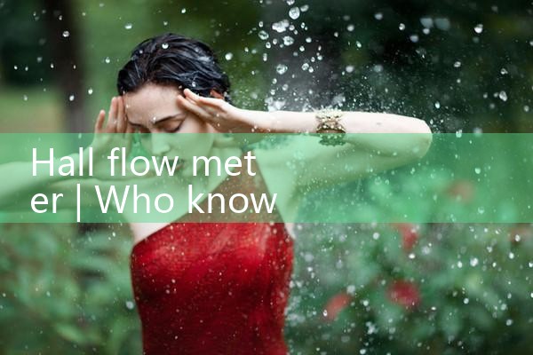 hall flow meter|rotameter flow meter