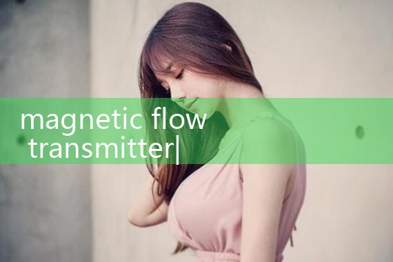 magnetic flow transmitter|mass flow meter