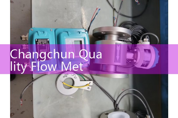 Changchun Quality Flow Meter Agent