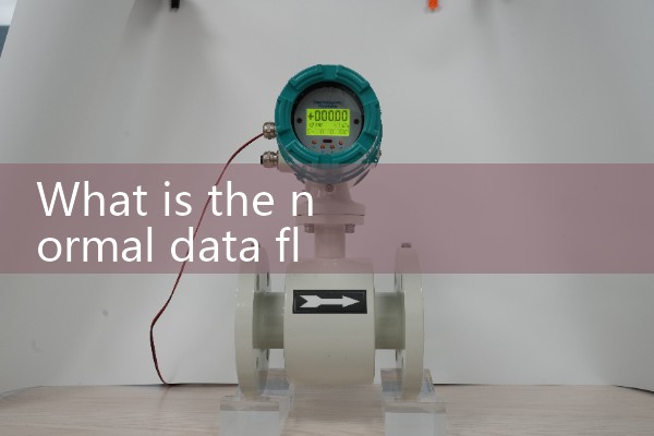 Normal data flow of air flow meter
