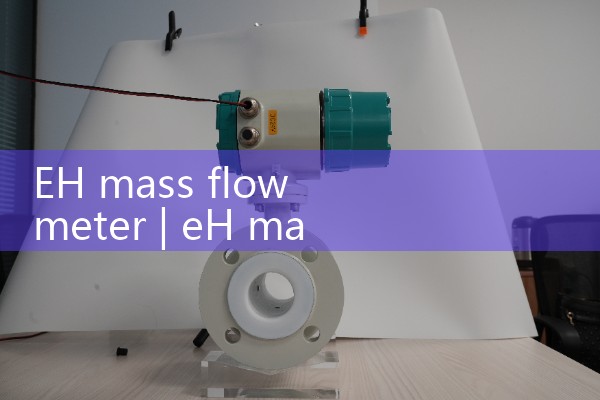 EH mass flowmeter