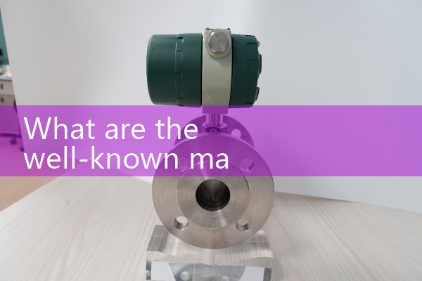 Ningbo High Temperature Mass Flow Meter Manufacturer