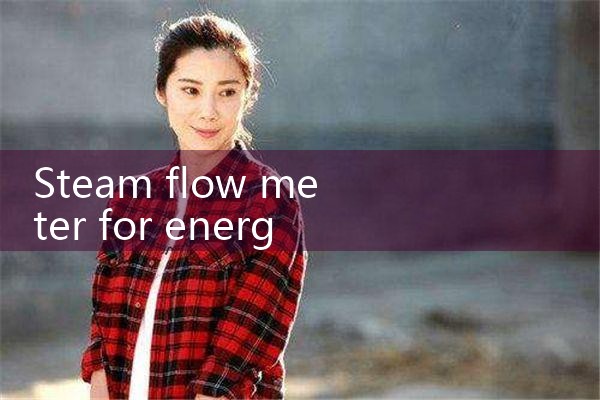 steam flow meter for energy management|balo meter
