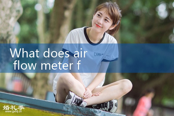 air flow meter for compressed air|rotameter flow meter