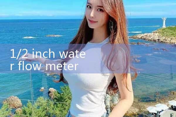 1/2 inch water flow meter|balo meter