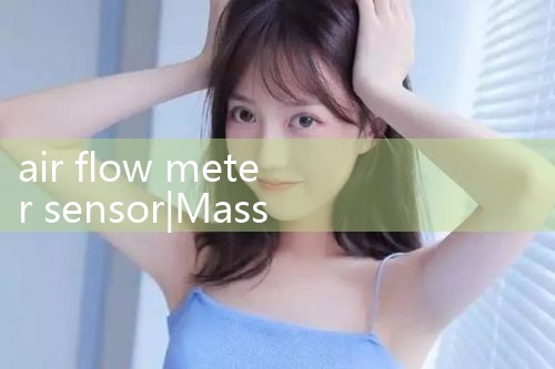 air flow meter sensor|mass flow meter