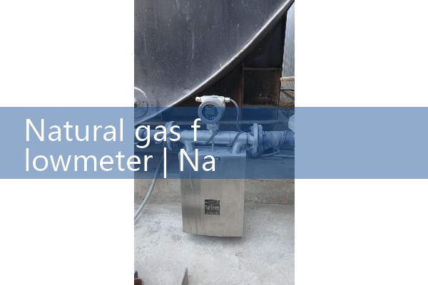 Natural gas flowmeter