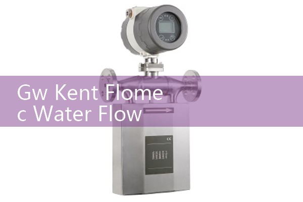 Gw Kent Flomec Water Flow Meter 984110 Specifications: Sanitary Sizing for Craft Brewing Lines