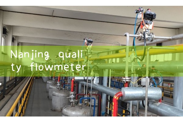 Nanjing quality flowmeter manufacturer supply