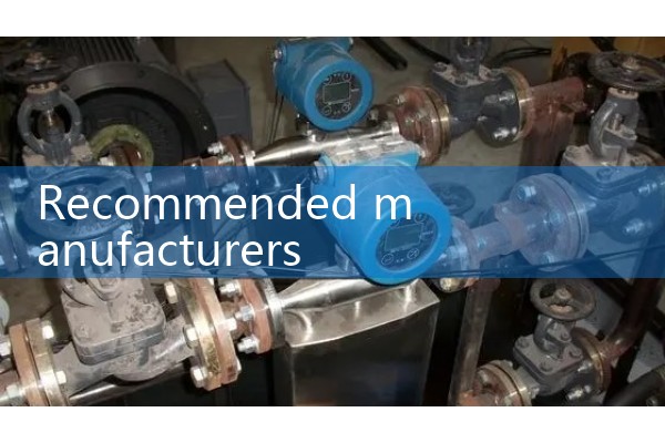 Recommended manufacturers for Wuxi quality flow meters