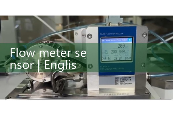 flow meter sensor