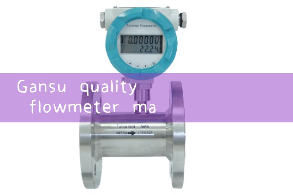 Gansu quality flowmeter manufacturer quotation