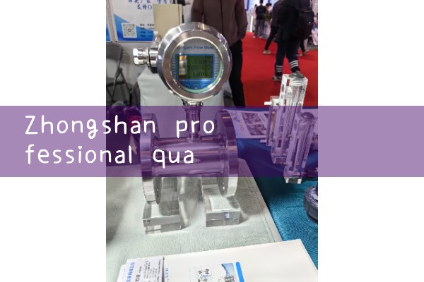Zhongshan professional quality flowmeter manufacturer