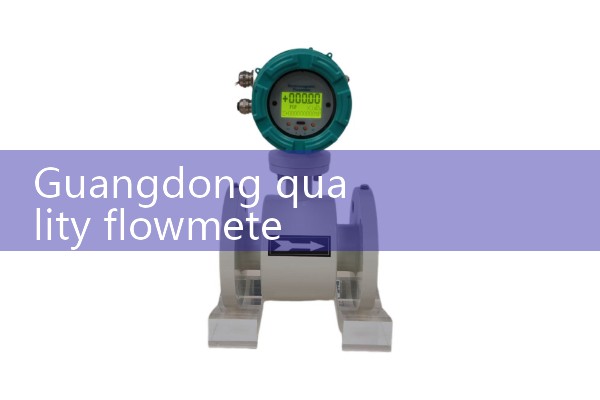 Guangdong Quality Flow Meter Supplier