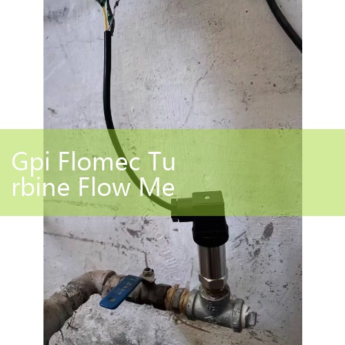 Gpi Flomec Turbine Flow Meter Review: Evaluating Longevity and Precision in Chemical Processing
